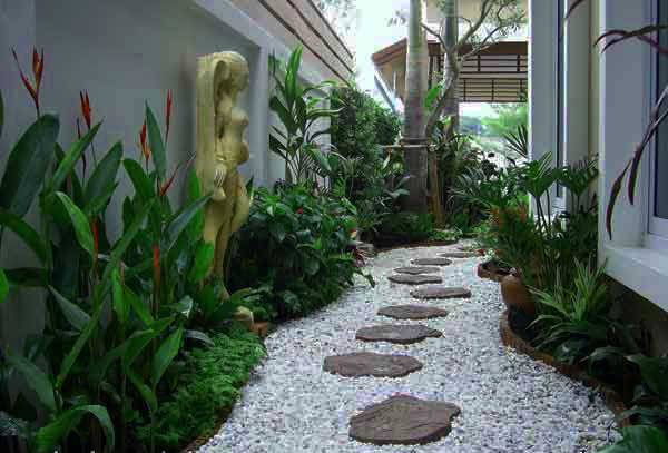 sân vườn nhà sân vườn nhà