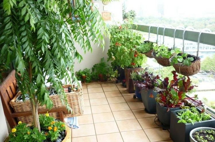 Thiết kế ngoại thất Thiết kế ngoại thất