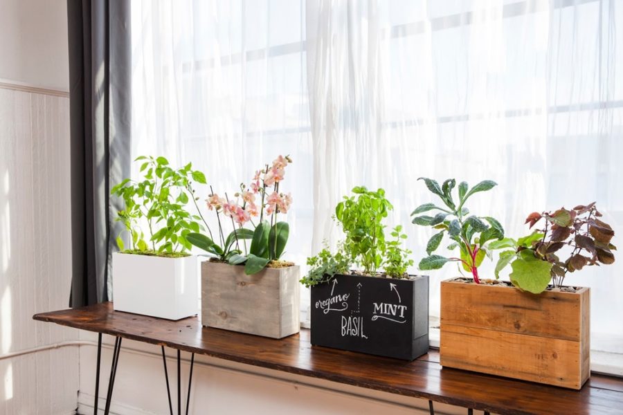 Nhà trang trí đẹp Nhà trang trí đẹp