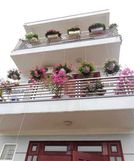 Những ngôi nhà đẹp Những ngôi nhà đẹp