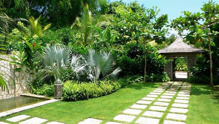 Thiết kế mẫu sân vườn Thiết kế mẫu sân vườn