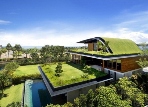 Thiết kế kiến trúc xanh nhà phố